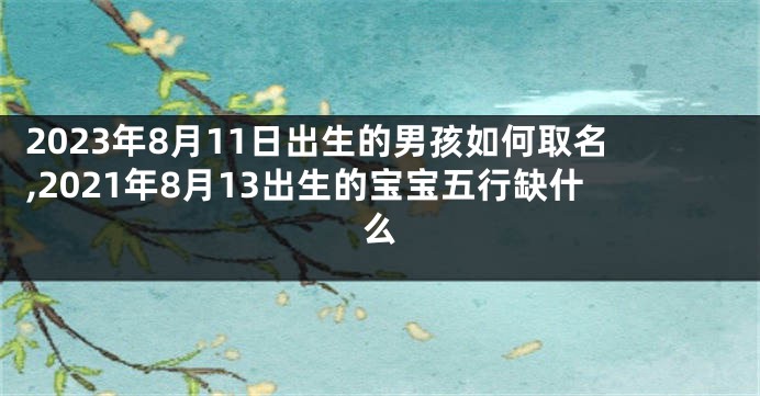 2023年8月11日出生的男孩如何取名,2021年8月13出生的宝宝五行缺什么