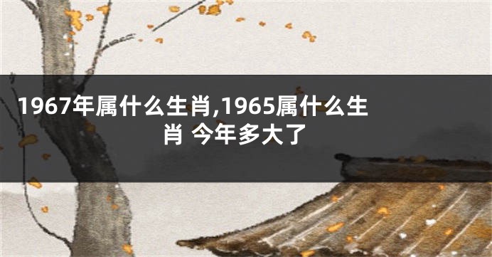 1967年属什么生肖,1965属什么生肖 今年多大了
