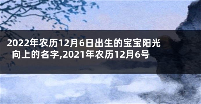 2022年农历12月6日出生的宝宝阳光向上的名字,2021年农历12月6号