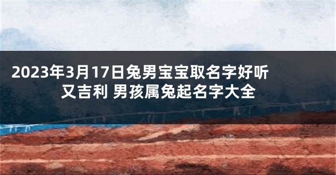2023年3月17日兔男宝宝取名字好听又吉利 男孩属兔起名字大全