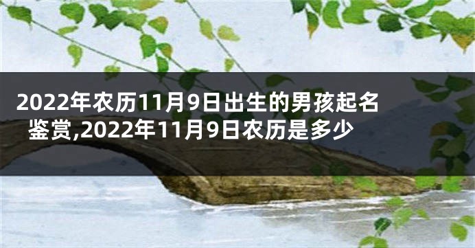 2022年农历11月9日出生的男孩起名鉴赏,2022年11月9日农历是多少