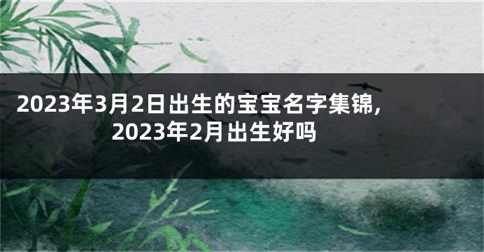 2023年3月2日出生的宝宝名字集锦,2023年2月出生好吗
