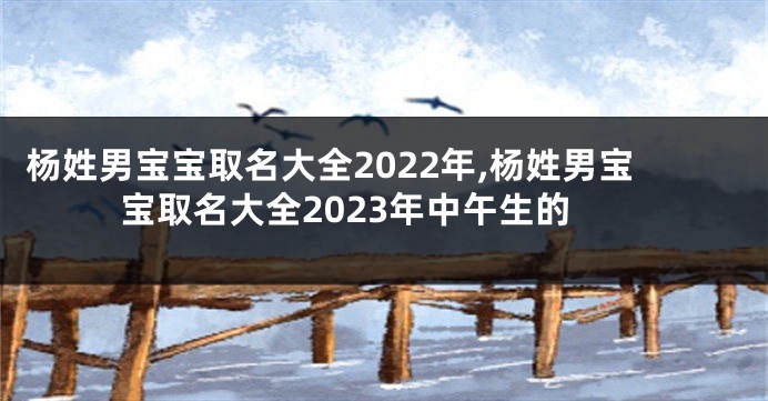 杨姓男宝宝取名大全2022年,杨姓男宝宝取名大全2023年中午生的