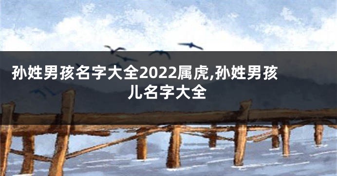 孙姓男孩名字大全2022属虎,孙姓男孩儿名字大全