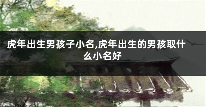 虎年出生男孩子小名,虎年出生的男孩取什么小名好