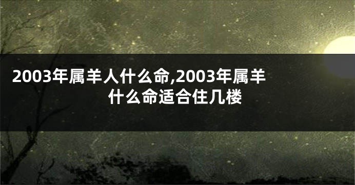 2003年属羊人什么命,2003年属羊什么命适合住几楼