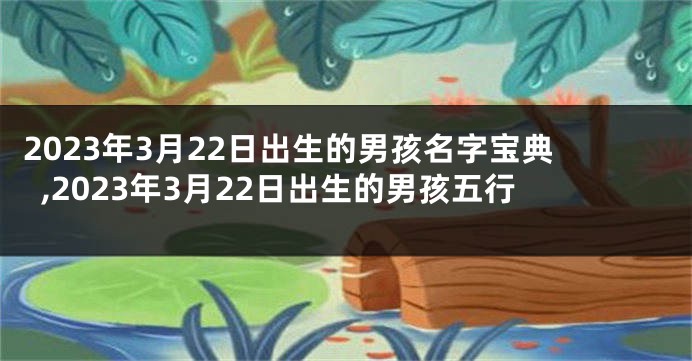 2023年3月22日出生的男孩名字宝典,2023年3月22日出生的男孩五行