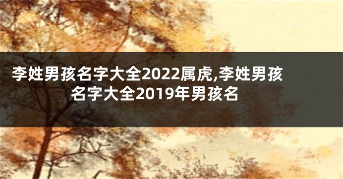 李姓男孩名字大全2022属虎,李姓男孩名字大全2019年男孩名