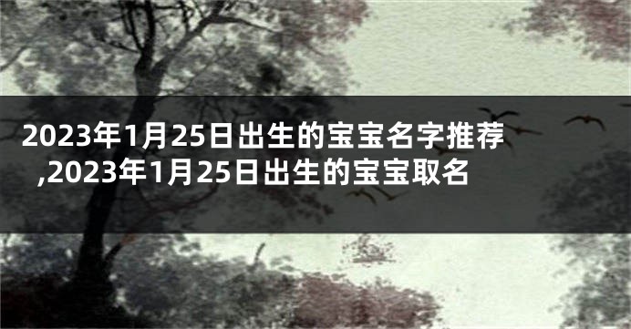 2023年1月25日出生的宝宝名字推荐,2023年1月25日出生的宝宝取名