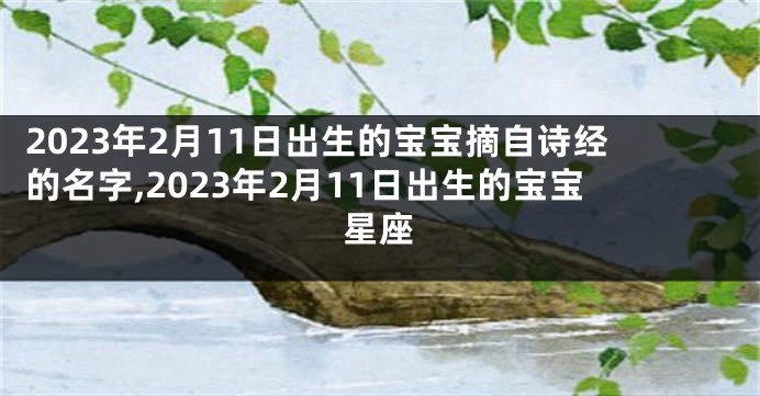 2023年2月11日出生的宝宝摘自诗经的名字,2023年2月11日出生的宝宝星座