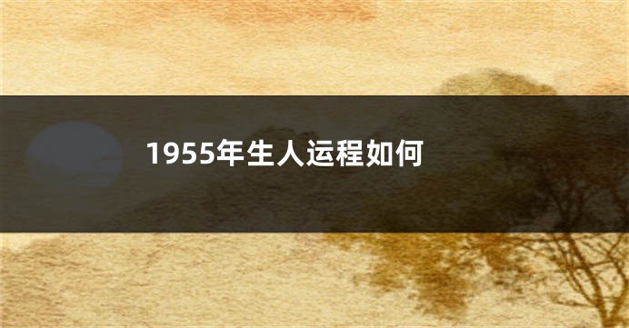 1955年生人运程如何