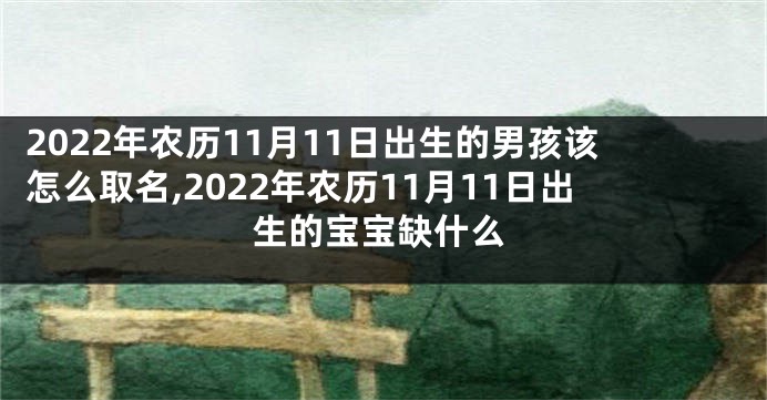 2022年农历11月11日出生的男孩该怎么取名,2022年农历11月11日出生的宝宝缺什么
