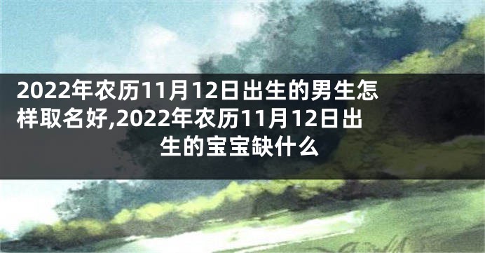 2022年农历11月12日出生的男生怎样取名好,2022年农历11月12日出生的宝宝缺什么