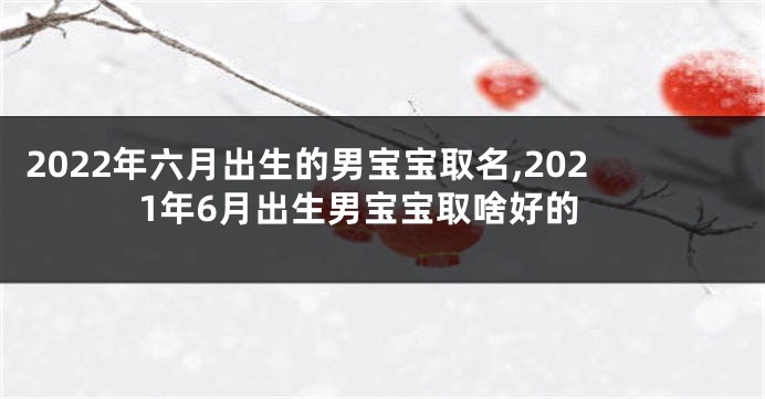 2022年六月出生的男宝宝取名,2021年6月出生男宝宝取啥好的