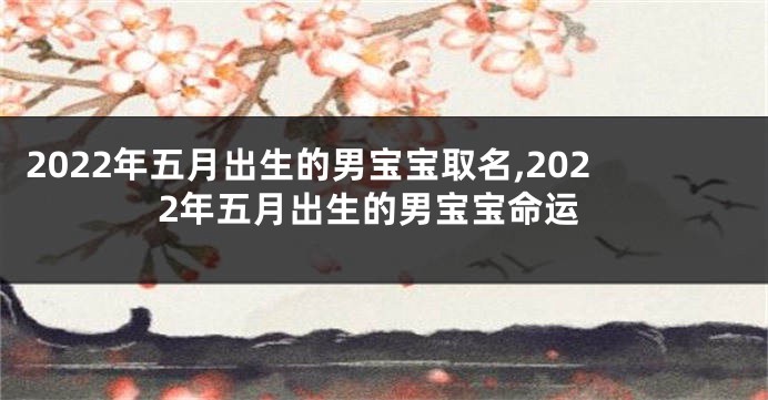 2022年五月出生的男宝宝取名,2022年五月出生的男宝宝命运