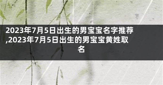 2023年7月5日出生的男宝宝名字推荐,2023年7月5日出生的男宝宝黄姓取名
