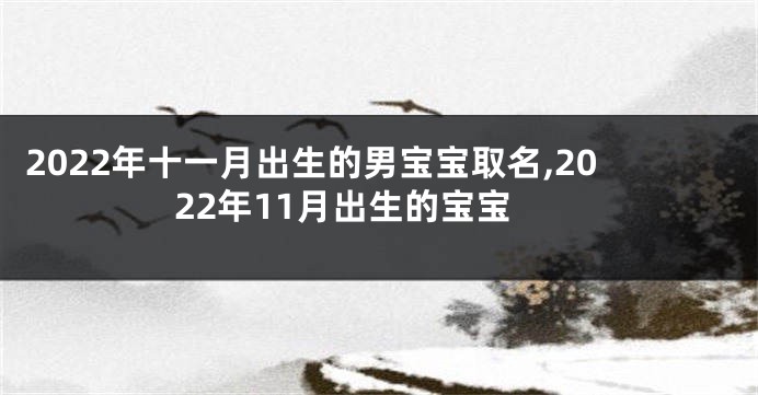 2022年十一月出生的男宝宝取名,2022年11月出生的宝宝