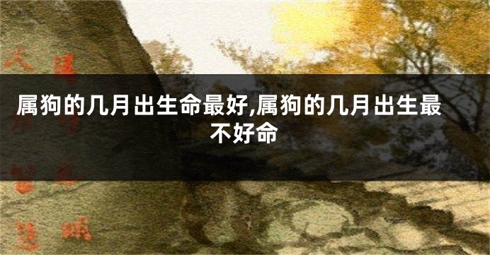属狗的几月出生命最好,属狗的几月出生最不好命