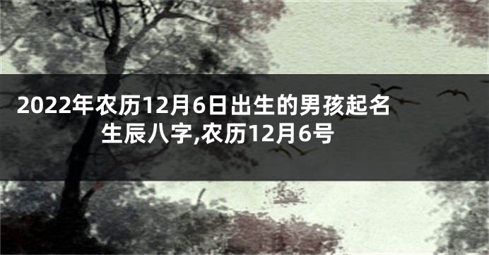 2022年农历12月6日出生的男孩起名生辰八字,农历12月6号