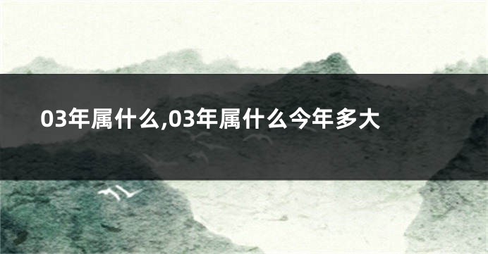 03年属什么,03年属什么今年多大