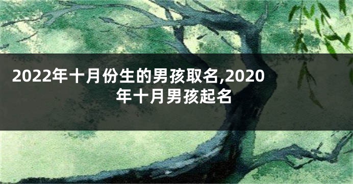2022年十月份生的男孩取名,2020年十月男孩起名