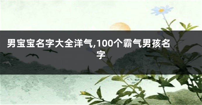 男宝宝名字大全洋气,100个霸气男孩名字