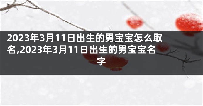 2023年3月11日出生的男宝宝怎么取名,2023年3月11日出生的男宝宝名字