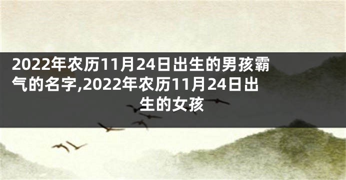 2022年农历11月24日出生的男孩霸气的名字,2022年农历11月24日出生的女孩
