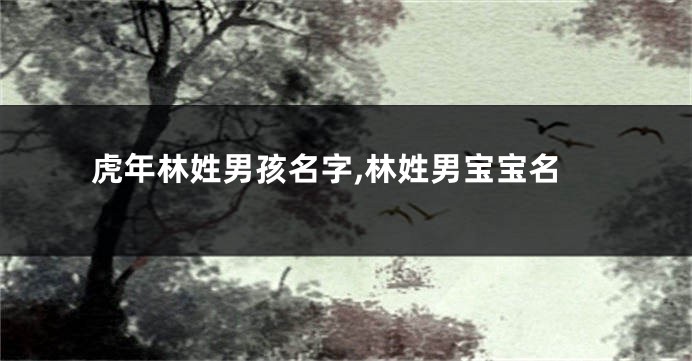 虎年林姓男孩名字,林姓男宝宝名