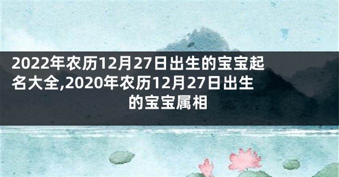 2022年农历12月27日出生的宝宝起名大全,2020年农历12月27日出生的宝宝属相