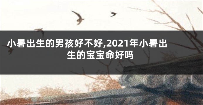 小暑出生的男孩好不好,2021年小暑出生的宝宝命好吗