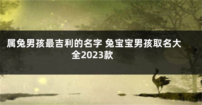 属兔男孩最吉利的名字 兔宝宝男孩取名大全2023款