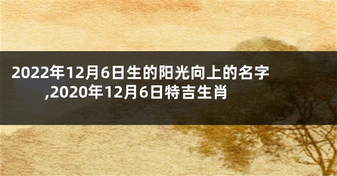 2022年12月6日生的阳光向上的名字,2020年12月6日特吉生肖