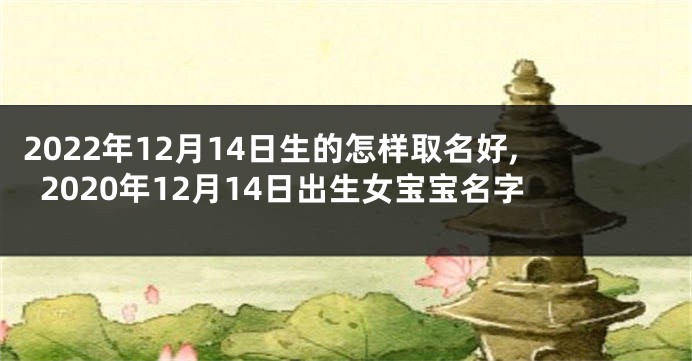 2022年12月14日生的怎样取名好,2020年12月14日出生女宝宝名字