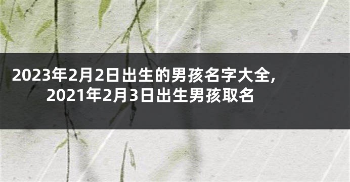 2023年2月2日出生的男孩名字大全,2021年2月3日出生男孩取名
