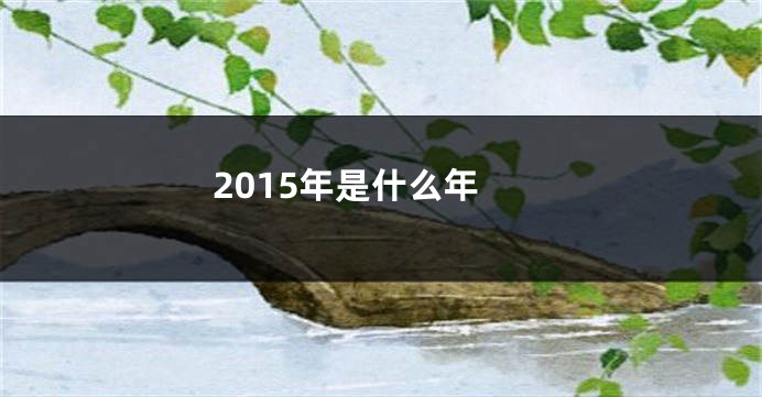 2015年是什么年
