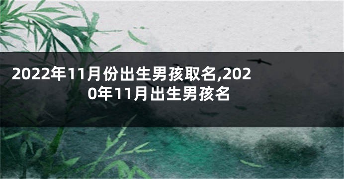2022年11月份出生男孩取名,2020年11月出生男孩名