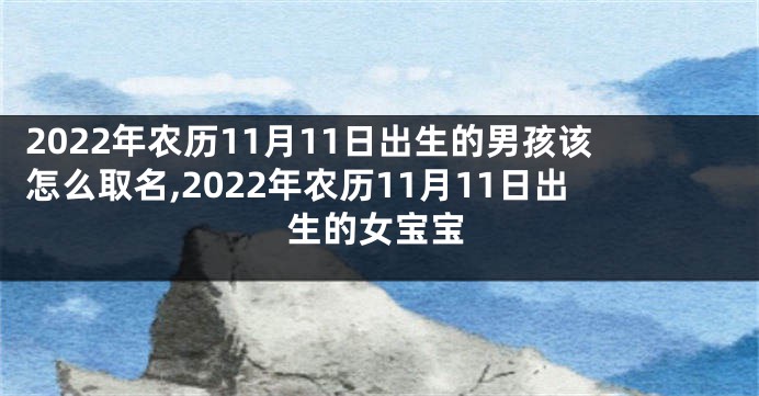 2022年农历11月11日出生的男孩该怎么取名,2022年农历11月11日出生的女宝宝