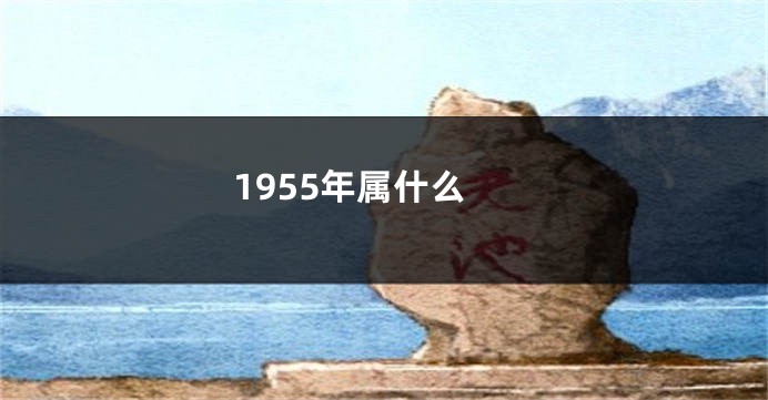 1955年属什么