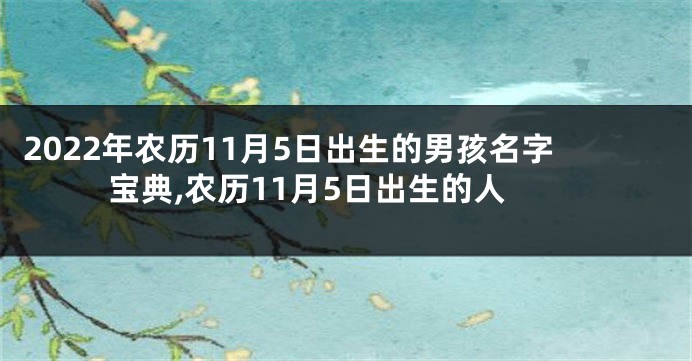 2022年农历11月5日出生的男孩名字宝典,农历11月5日出生的人