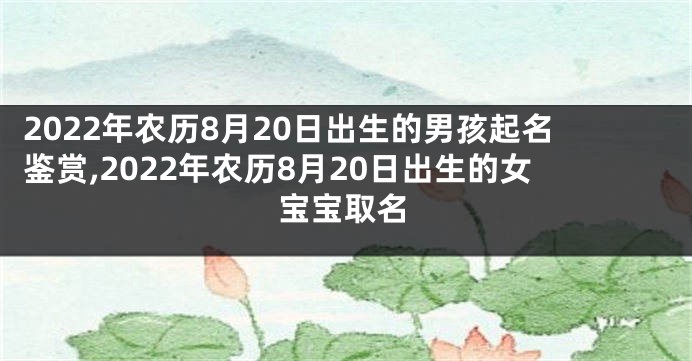 2022年农历8月20日出生的男孩起名鉴赏,2022年农历8月20日出生的女宝宝取名