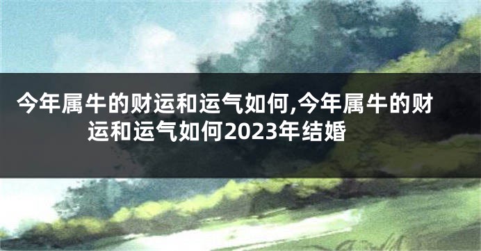 今年属牛的财运和运气如何,今年属牛的财运和运气如何2023年结婚