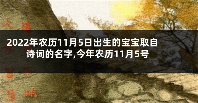 2022年农历11月5日出生的宝宝取自诗词的名字,今年农历11月5号