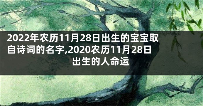 2022年农历11月28日出生的宝宝取自诗词的名字,2020农历11月28日出生的人命运