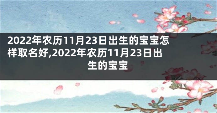 2022年农历11月23日出生的宝宝怎样取名好,2022年农历11月23日出生的宝宝
