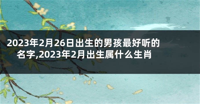 2023年2月26日出生的男孩最好听的名字,2023年2月出生属什么生肖