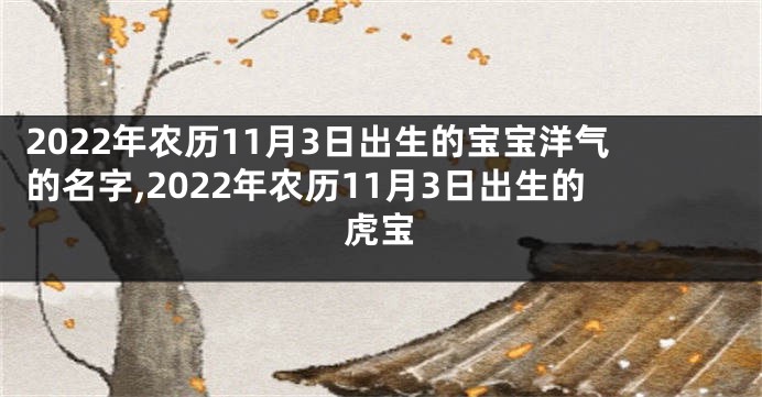 2022年农历11月3日出生的宝宝洋气的名字,2022年农历11月3日出生的虎宝