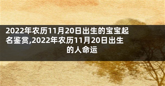2022年农历11月20日出生的宝宝起名鉴赏,2022年农历11月20日出生的人命运