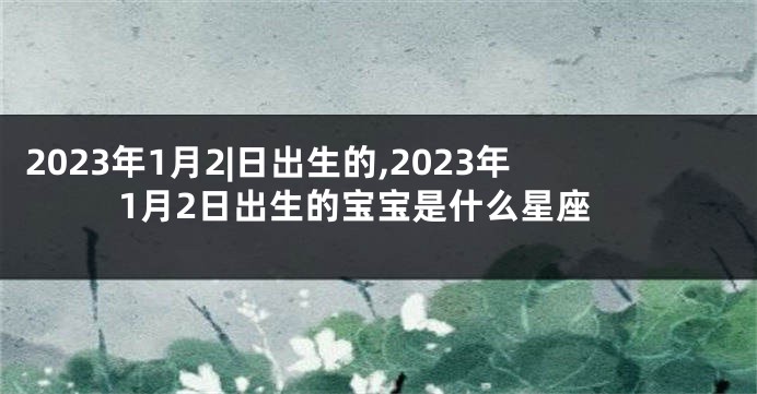 2023年1月2|日出生的,2023年1月2日出生的宝宝是什么星座