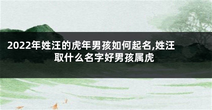 2022年姓汪的虎年男孩如何起名,姓汪取什么名字好男孩属虎